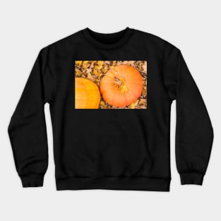 Two pumpkins Crewneck Sweatshirt